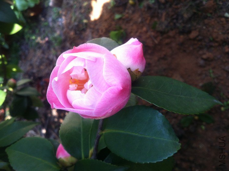 20120327 ��軨078.jpg