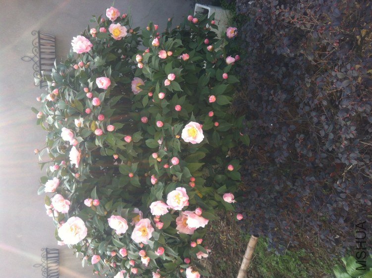 20120327 ��軨081.jpg