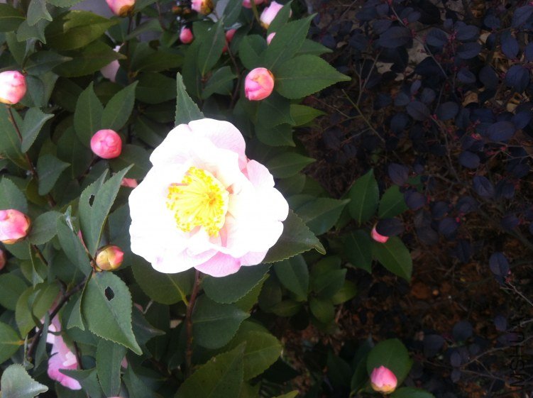 20120327 ��軨083.jpg