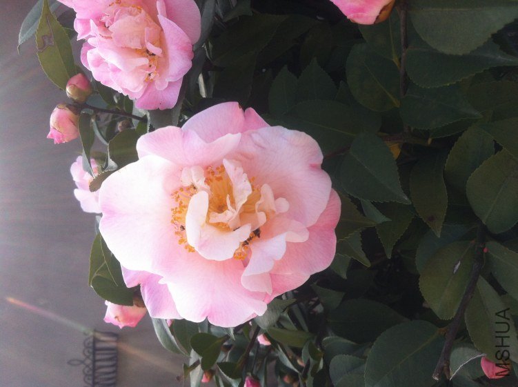 20120327 ��軨084.jpg