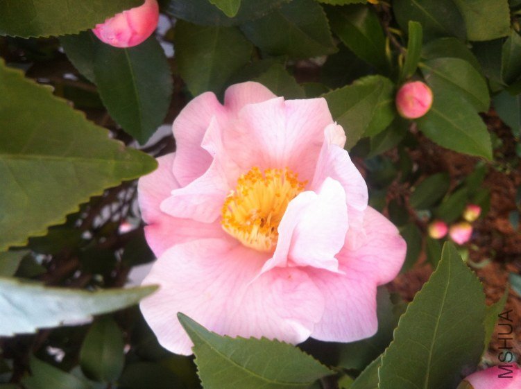 20120327 ��軨088.jpg