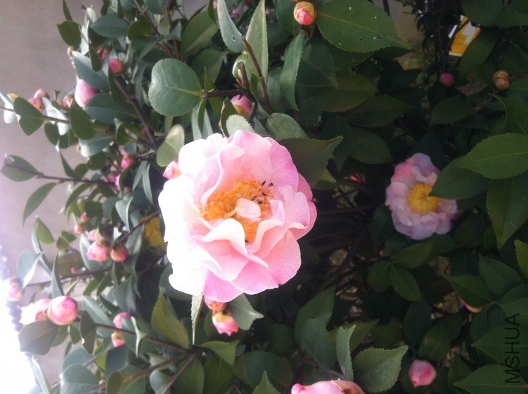 20120327 ��軨090.jpg