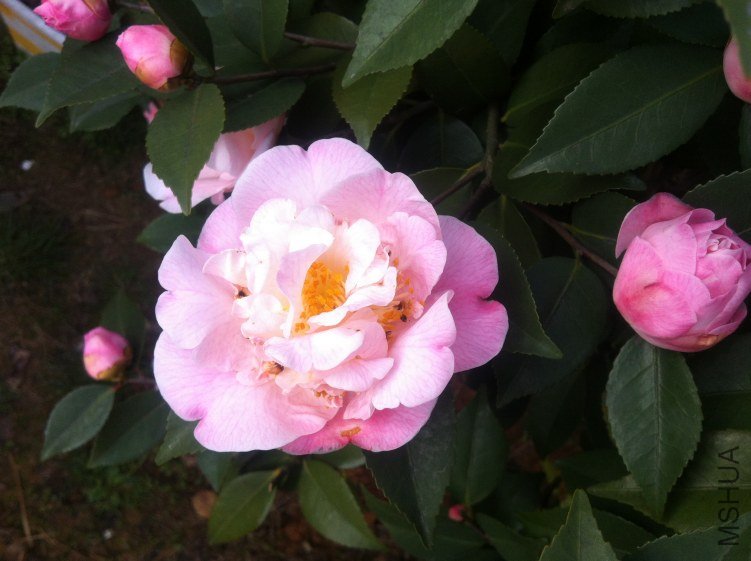 20120327 ��軨093.jpg