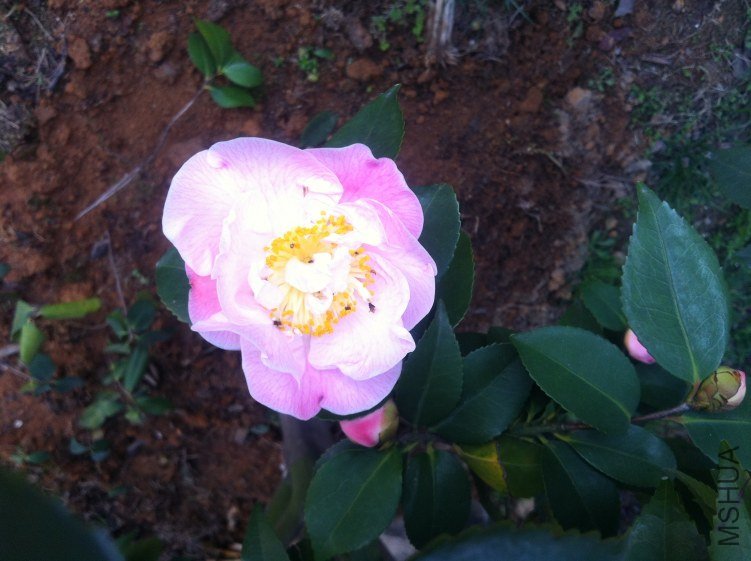 20120327 ��軨094.jpg