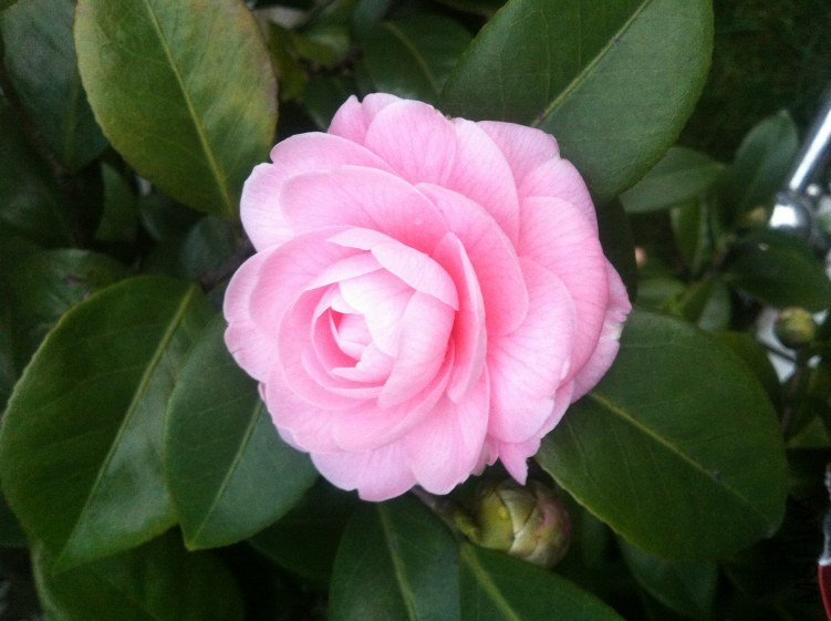20120327 ��λ�軨001.jpg