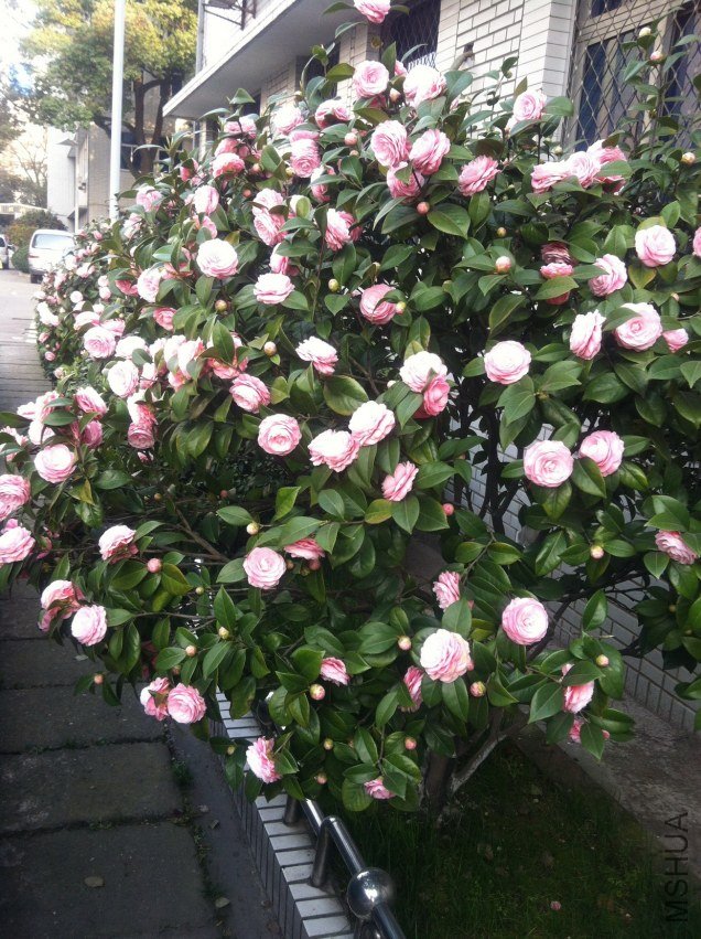 20120327 ��λ�軨112.jpg