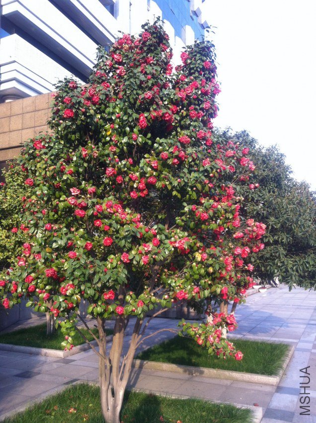20120327 ��λ�軨114.jpg