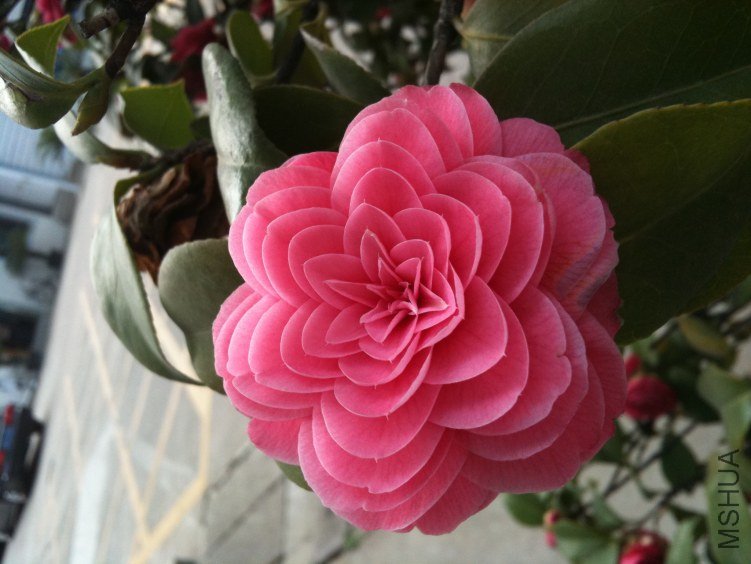 �軨 006.jpg