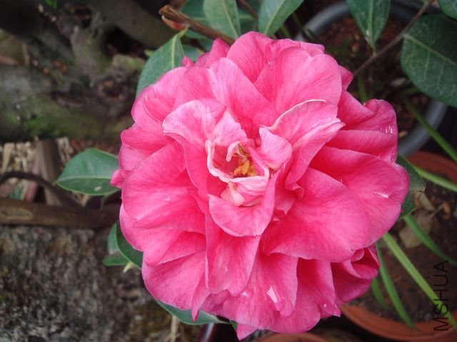 DSC078084.jpg