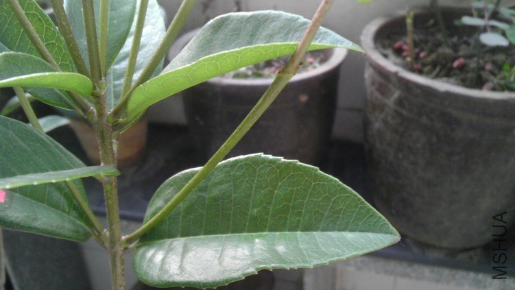 IMAG0069.jpg