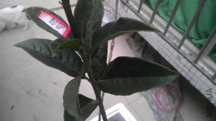 IMAG0072.jpg