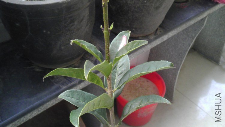 IMAG0073.jpg