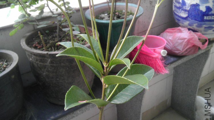 IMAG0074.jpg