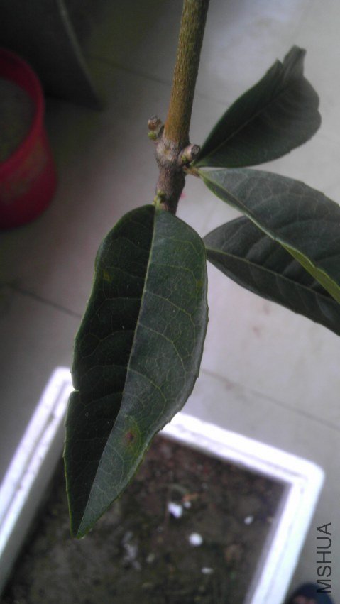 IMAG0075.jpg