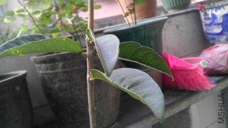 IMAG0077.jpg