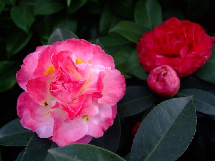 ����ã 2012-3-27f 009 .jpg