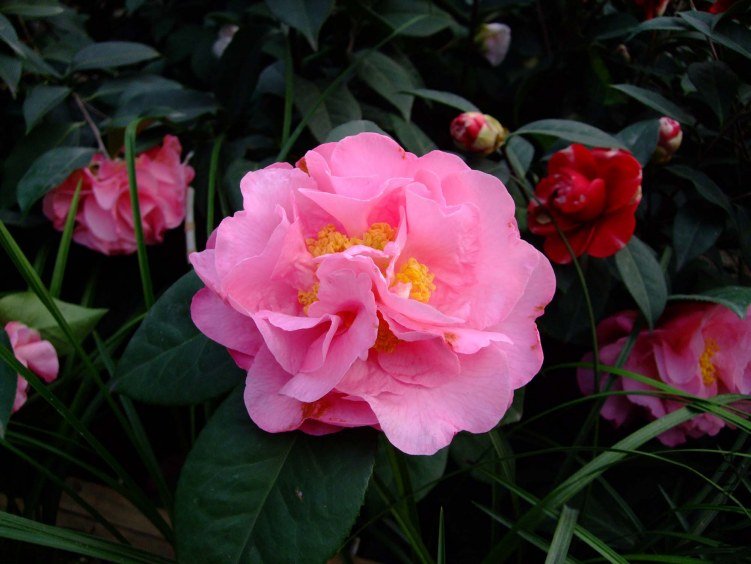 ��� 2012-3-27f 021.jpg
