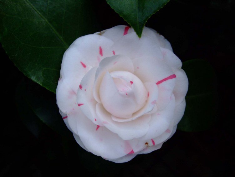 �������� 2012-3-27f 020.jpg