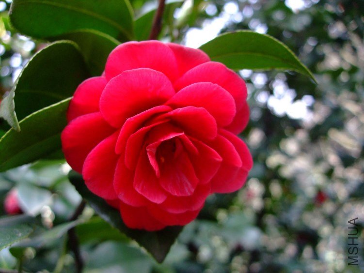 ���� 2012-3-27fc 017.jpg