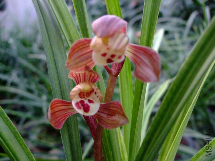 ������� 2012-3-27f 039.jpg