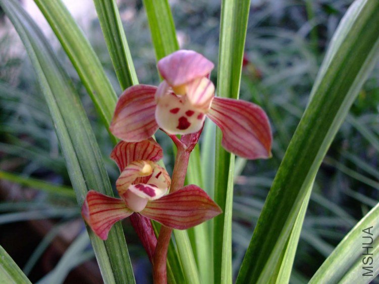 ������� 2012-3-27f 003.jpg
