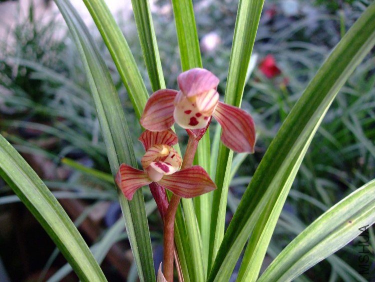 ������� 2012-3-27f 001.jpg