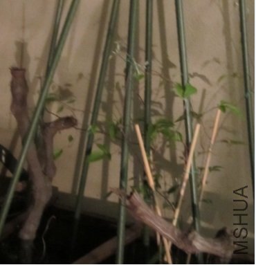 �������̳�����һ��