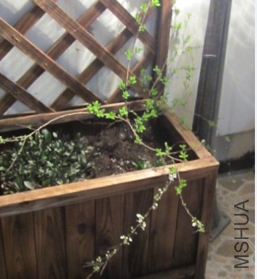 ������Ǵ��˵���ŵ�ȫò ���쿪�ĸ�����