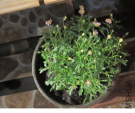 ���**ʱ�������͸��ҵ��������