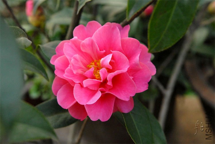 ��������8.jpg