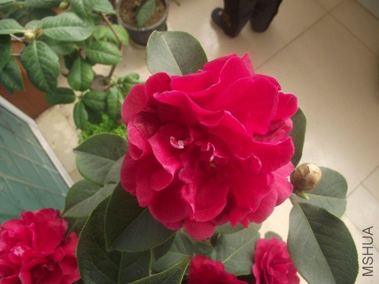 ��Ƭ 068.jpg