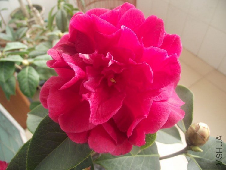 ��Ƭ 069.jpg