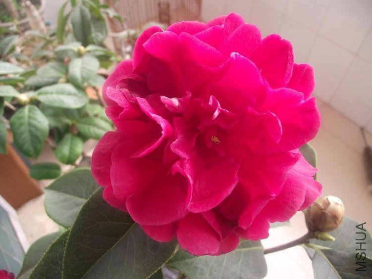 ��Ƭ 070.jpg