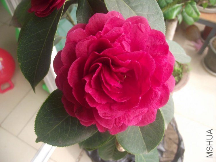 ��Ƭ 071.jpg