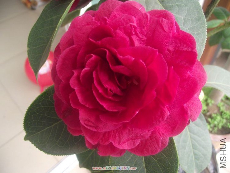 ��Ƭ 072.jpg