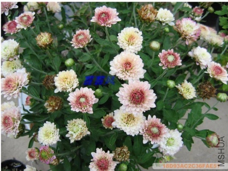 AD`S(%]JQAH[CT5B%D@TZ9G.jpg