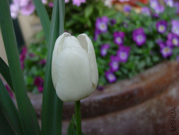 DSC01615-W.jpg