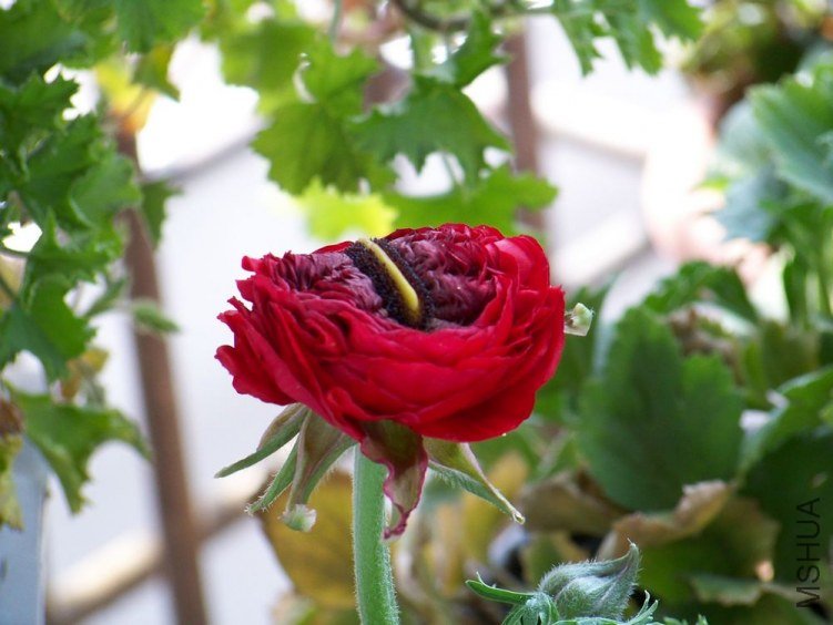 100_5753.jpg
