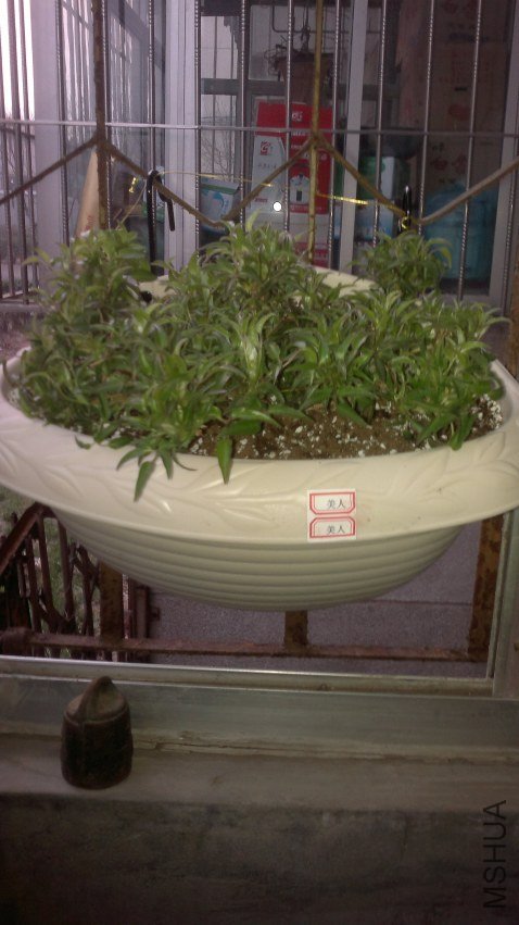 20120327303.jpg