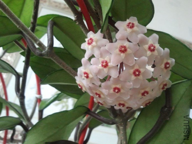 2012-03-28 15.50.53.jpg