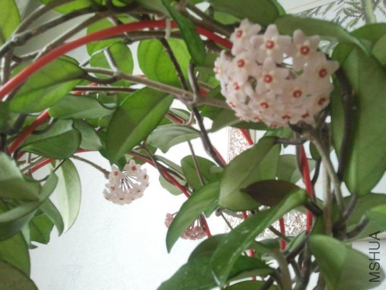 2012-03-28 15.51.05.jpg