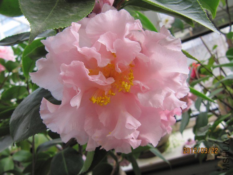 IMG_0007.JPG