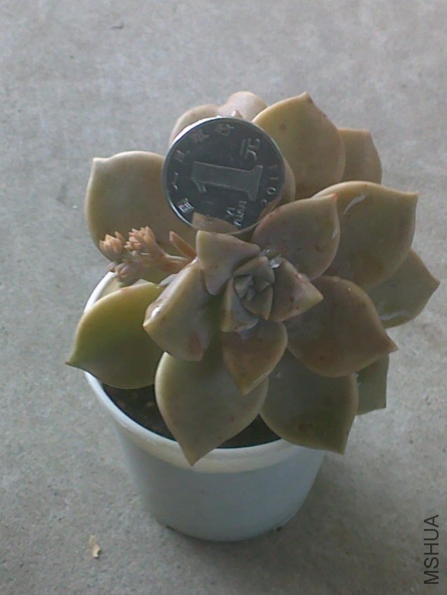 20120328390.jpg