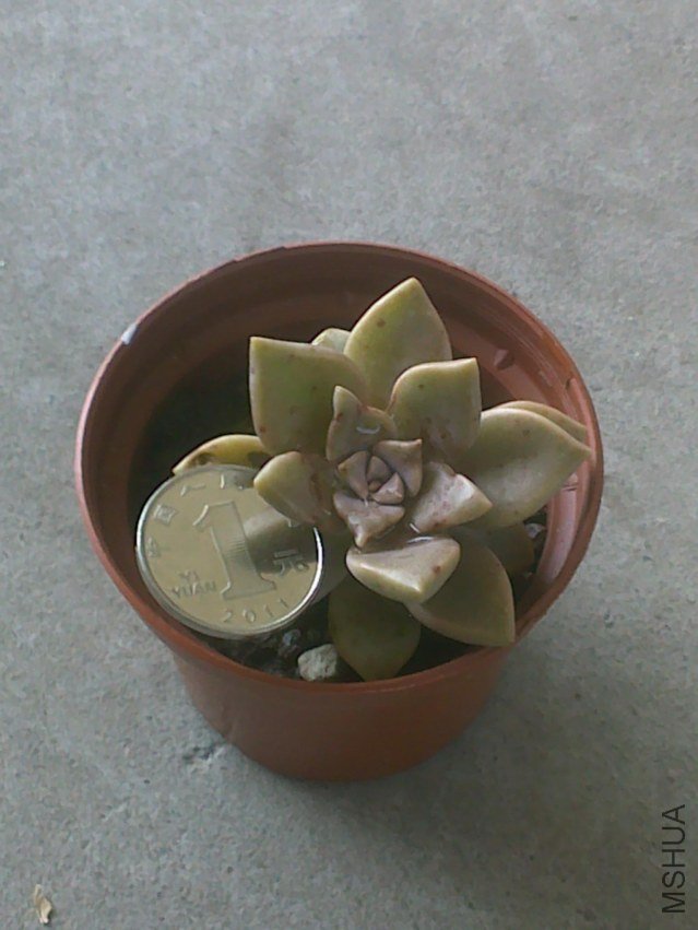 20120328391.jpg