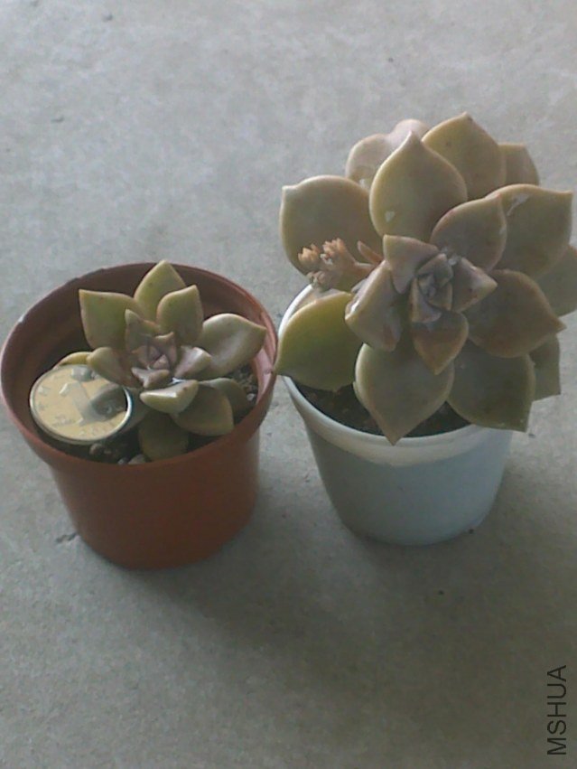 20120328392.jpg