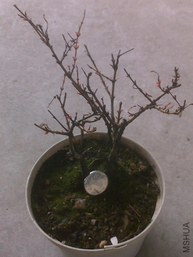 20120328393.jpg