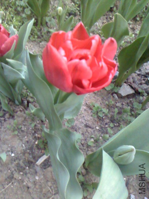 IMG0326180900.jpg