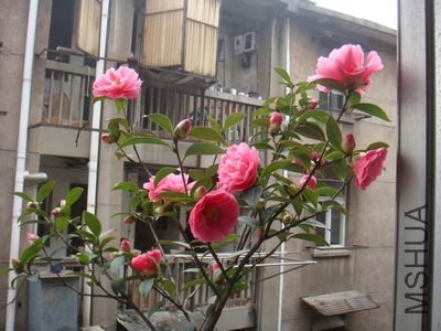 DSC05683.jpg