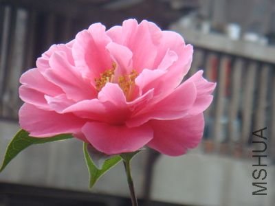 DSC05684.jpg