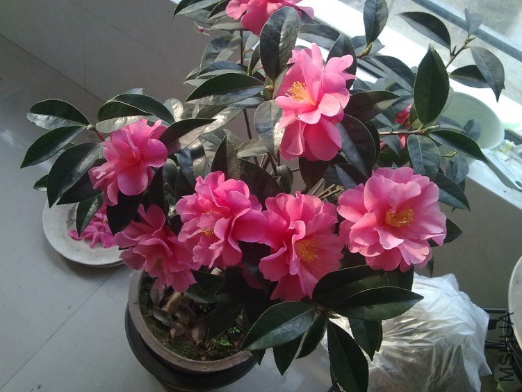 20120327311.jpg